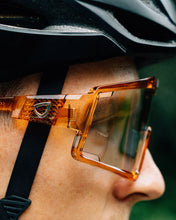 SHIELD Glasses - Translucent Gold